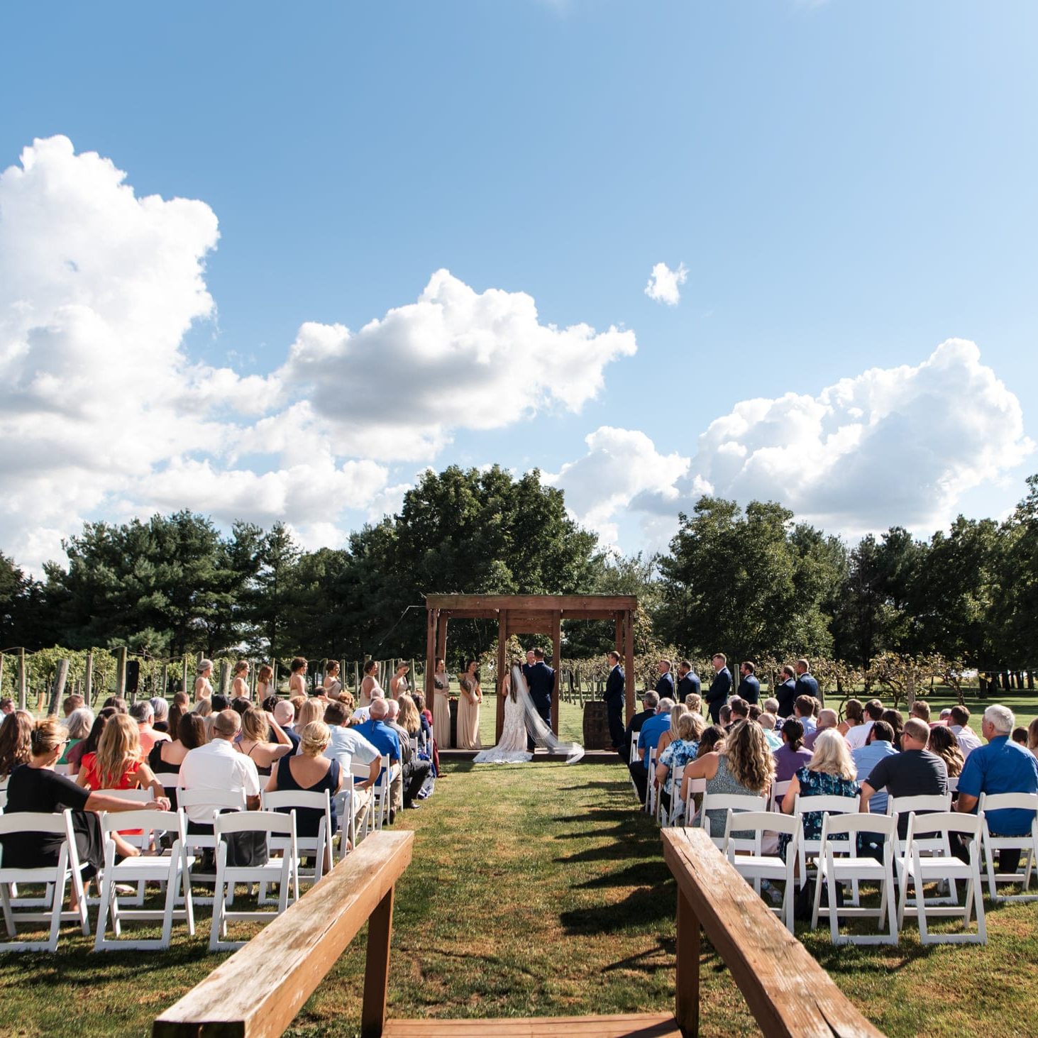 Wedding Ceremony in vineyard